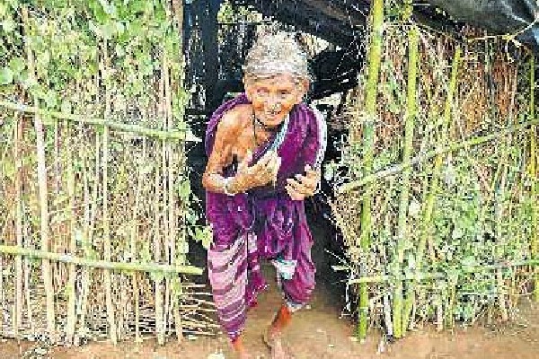 Tribal Woman Girijabai Who lived in Forest about 35 years died