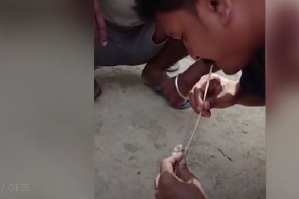 Man saved a snake life by giving breath to it