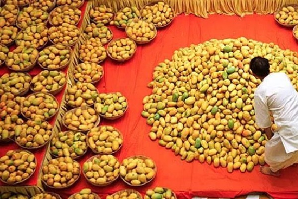 Sugar free mangoes in Pakistan