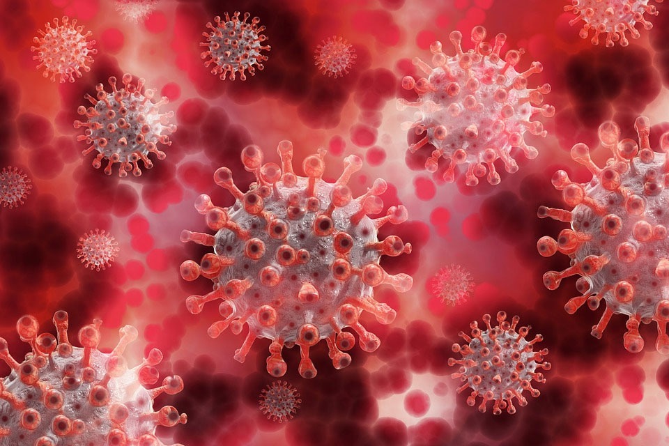 East Asia faced a coronavirus epidemic 20000 years ago