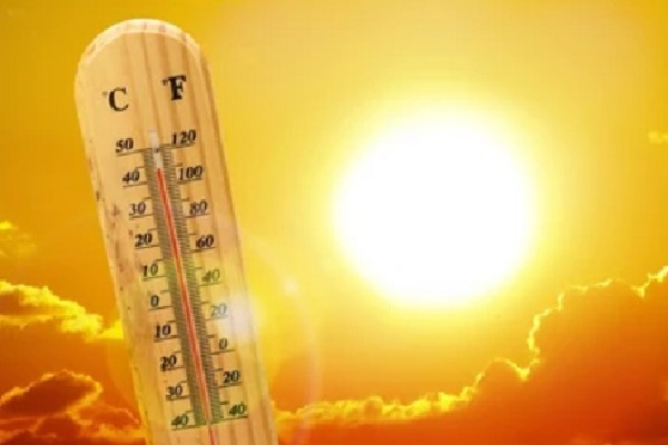 Over 240 Died in Canada Over Heat Wave