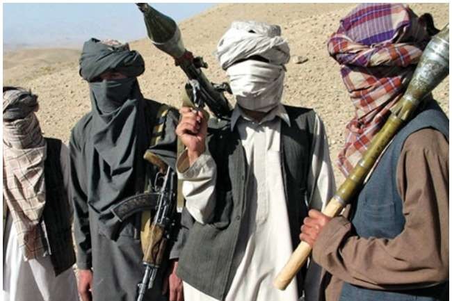 Taliban says they grabbed majority of Afghan land 