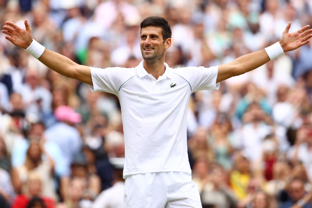Novok Djokovic wins Wimbledon mens singles title