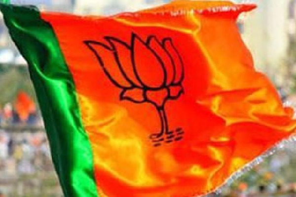 Huge changes in BJP vows to give Key responsibilities for sacked ministers
