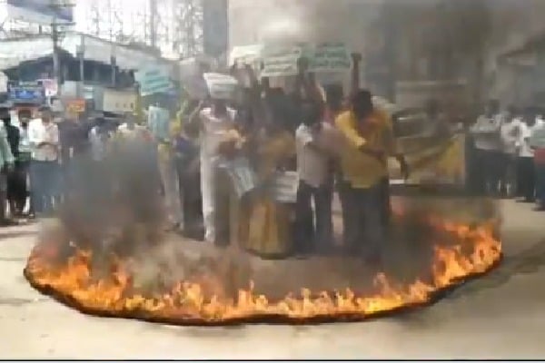 Nellore TDP workers protests with a risky way