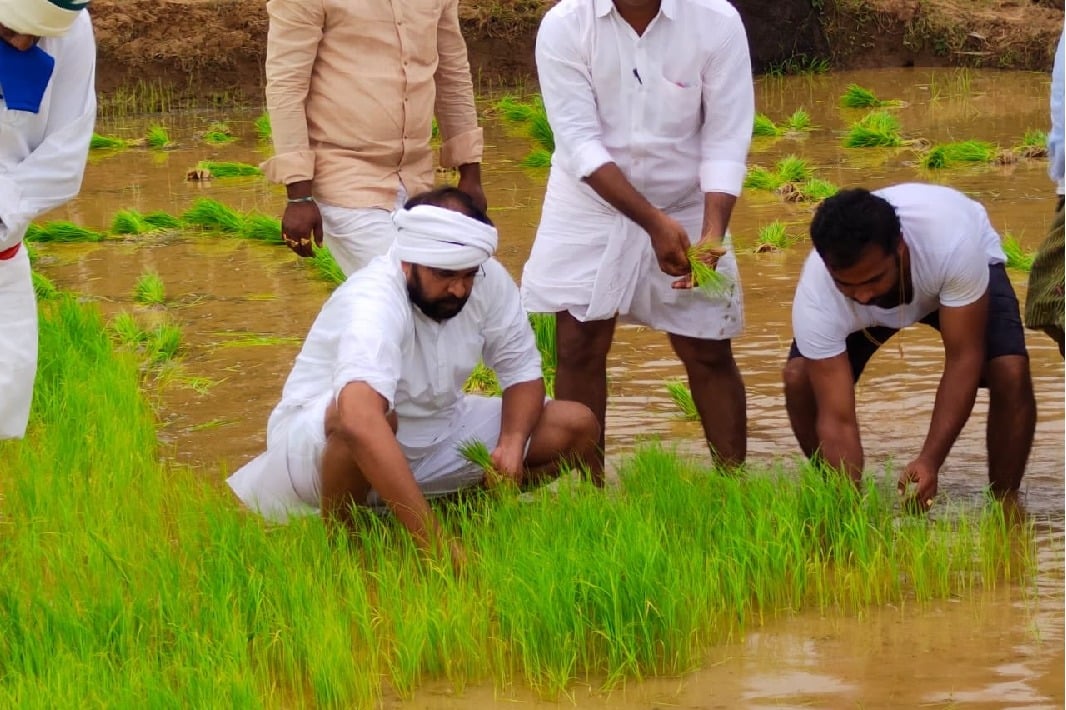 CBI Former JD Lakshminarayana joins paddy plantation in his leased