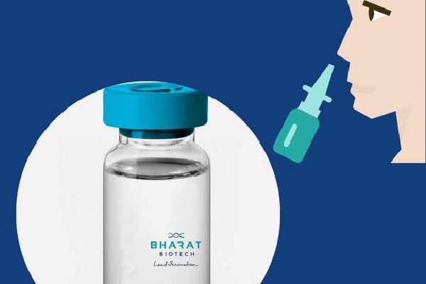 Bharat Biotech gets nod to conduct second phase clinical trials for nasal corona vaccine