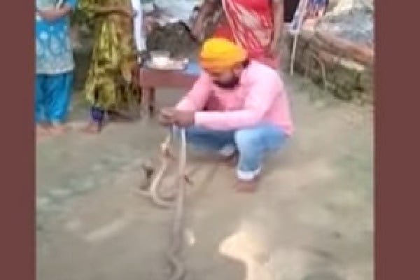 Man lost his life while tying rakhi to snakes 