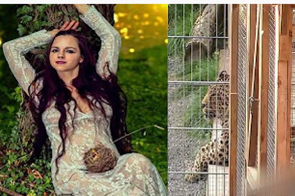 Photoshoot in a cage Cheetah attack on a model
