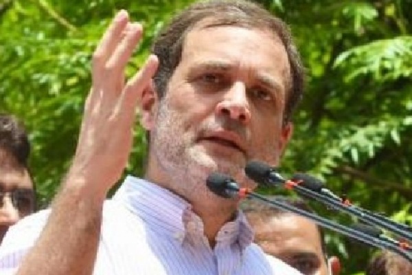 Not against privatisation but our plan had a logic: Rahul Gandhi