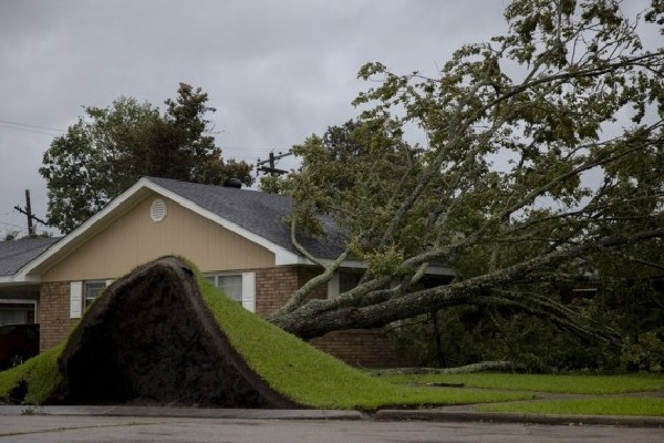 Hurricane Ida: 13 dead in US' Louisiana