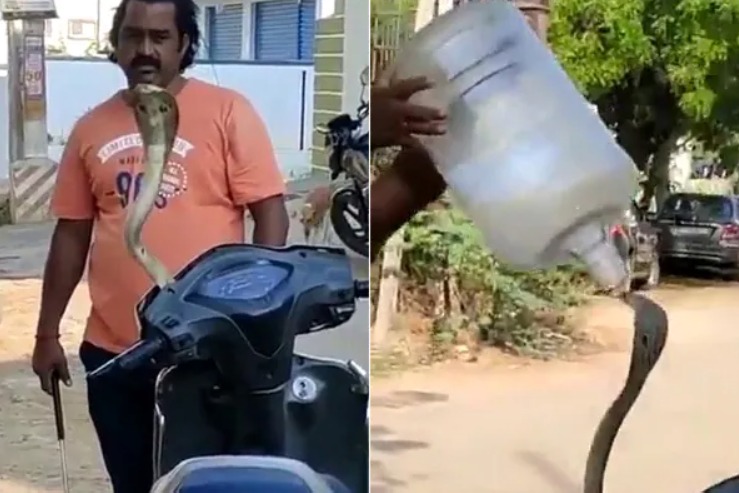 Man catches a snake in unusual way
