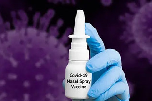 Bharat Biotechs Covid Nasal Vaccine Shows Promising Results