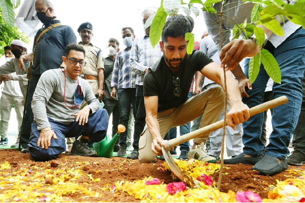Amir Khan and Naga Chaitanya plants saplings in Hyderabad