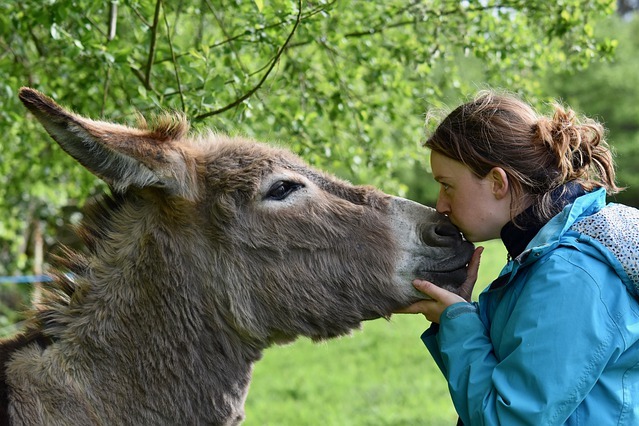 Is donkey milk good for your skin?