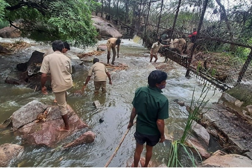 Tiger Safari of Hyderabad Zoo flooded, animals safe