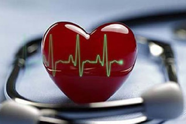 Apollo Hospitals launch AI tool to predict cardiovascular disease risk
