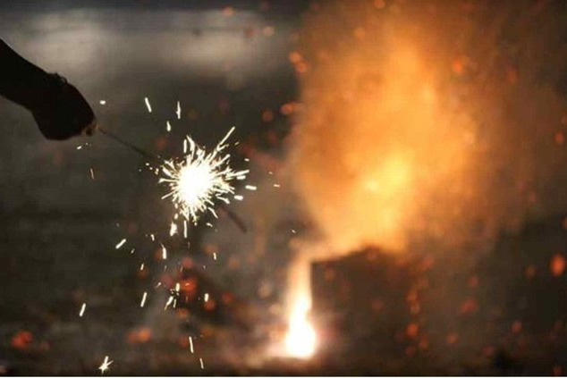 Rajasthan government bans firecrackers sale