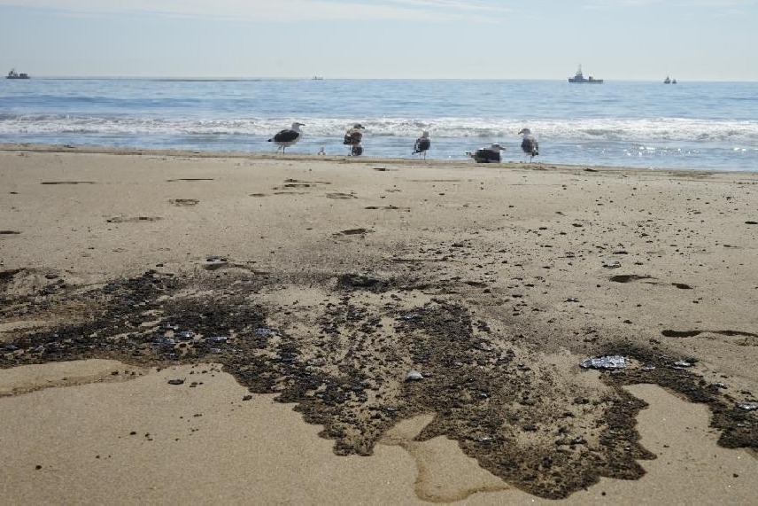'Massive oil spill off California coast a potential ecological disaster'