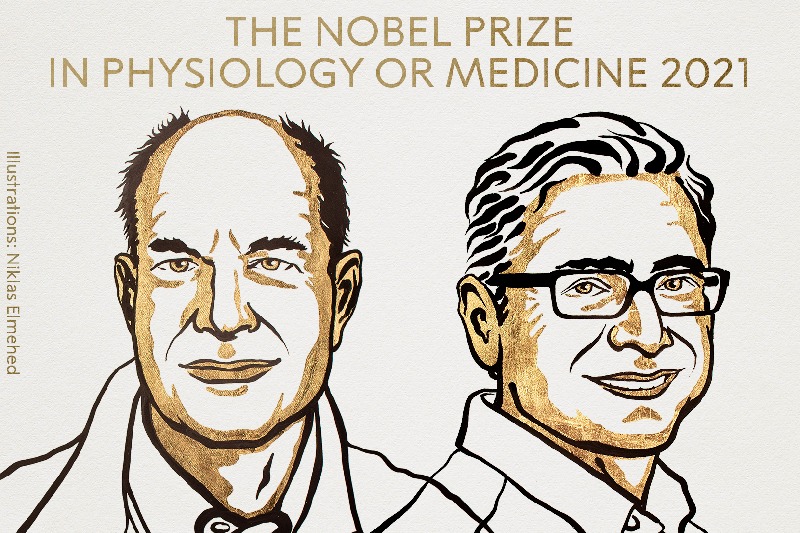 American researchers wins this year Nobel Prize