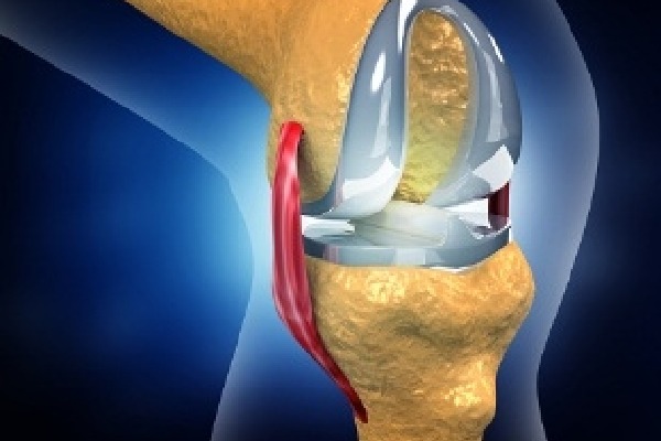 Indian scientists develop models to help improve hip, knee implants