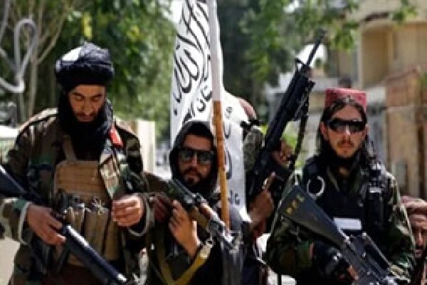 Taliban minister promise cash land to families of suicide bombers