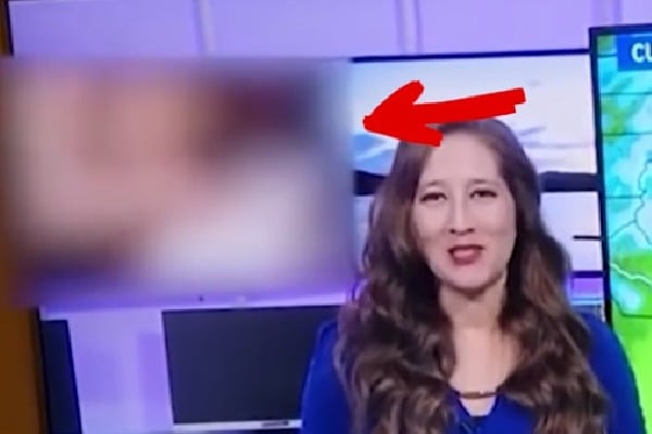 Channel aired obscene content instead of weather report
