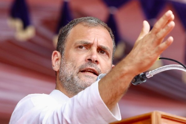 Democratic values need to be protected at all costs: Rahul Gandhi