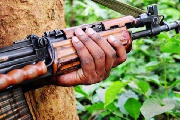 5 Maoists dead in encounter in Maharashtra