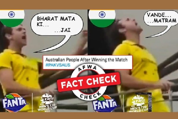 This Aussie did not cheer for India after Australia beat Pak 