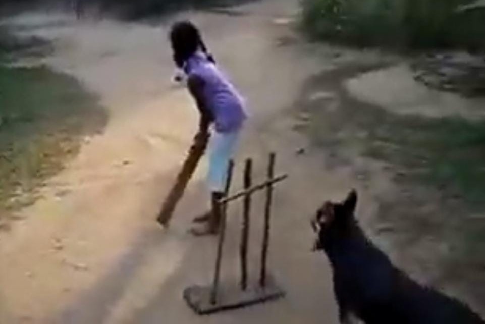 Tendulkar impressed by dog's 'sharp ball catching skills', posts video on social media