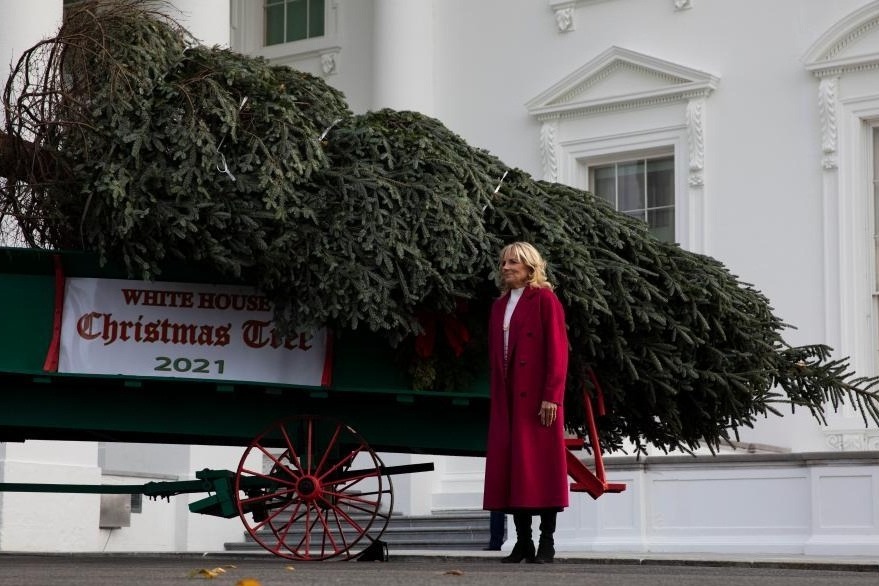 Jill Biden receives WH Christmas Tree