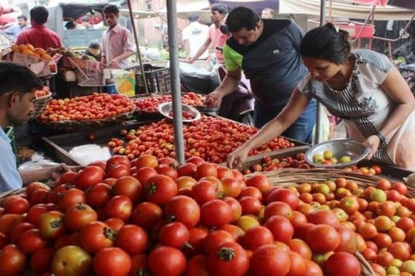 Tomato Prices At High On The Sky