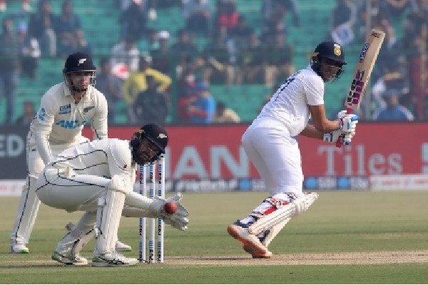 IND v NZ: Gill half-century steers India to 82/1 at lunch