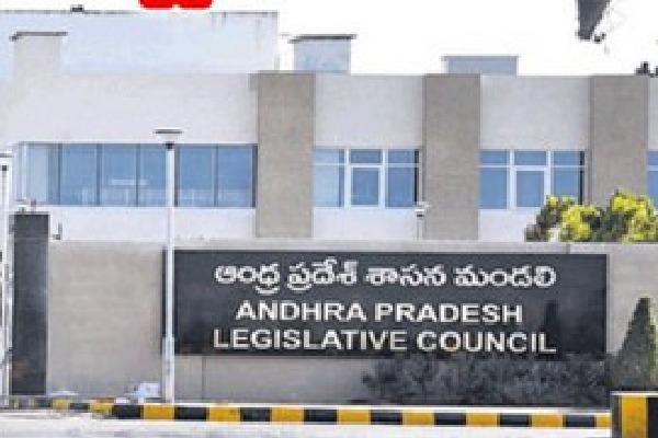 YCP Candidates wins council elections with no contest 