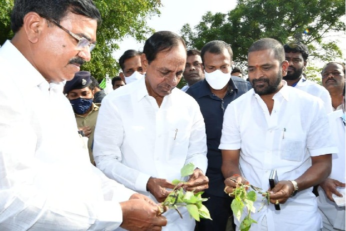 KCR visits farmers in fields, urges paddy farmers to change crops