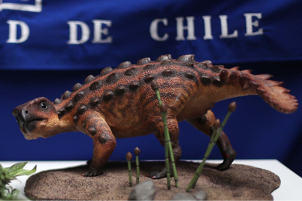 New species of Dinosaur identified in Chile 