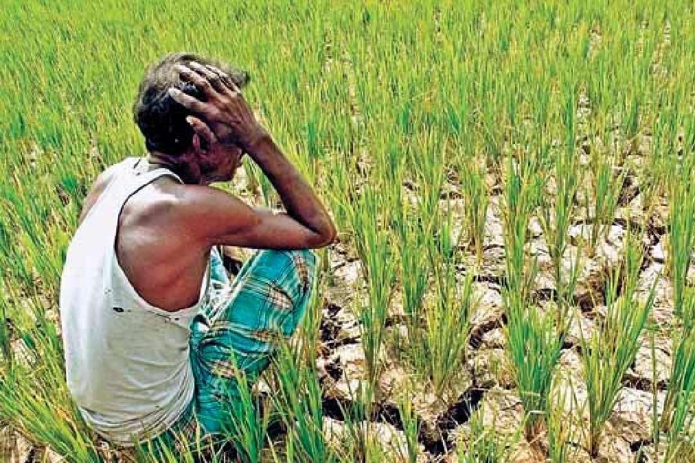 AP and TS in top two position in farmers debts