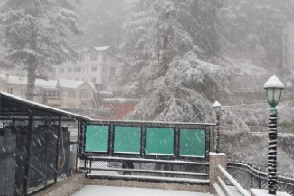 Shimla gets season's first snowfall, cheers tourists