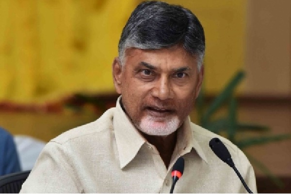 Chandrababu Naidu seeks action against those involved in attacks on TDP leaders