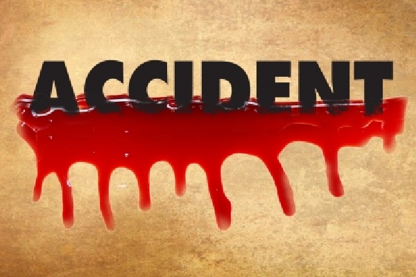 Three killed in Andhra road accident