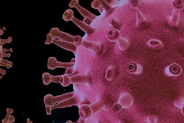 Corona virus no more Pandemic in future said IHME