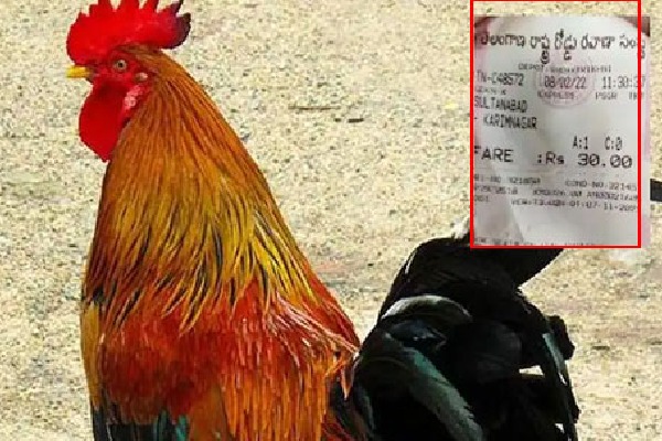 Conductor collected Rs 30 ticket to a Cock RTC MD Sajjanar fires