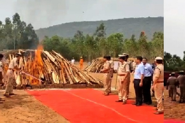 Andhra police burn 2 lakh kg cannabis valued at Rs 500 cr