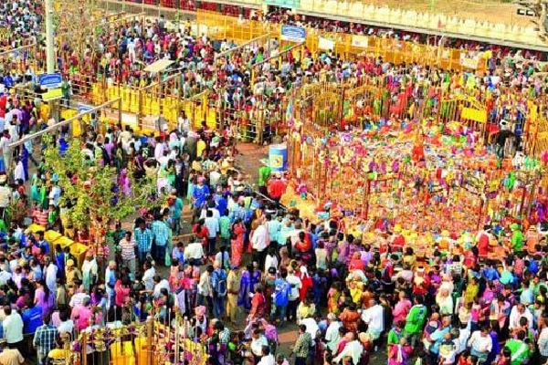 1.25 cr devotees expected at Asia's biggest tribal fair in Telangana