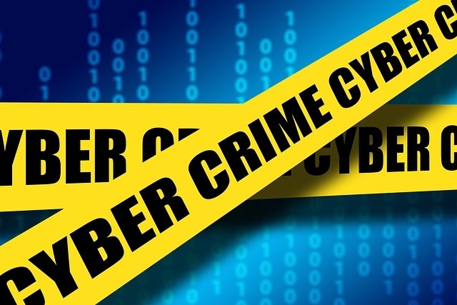 Parliamentary panel expresses concern over increasing cyber crimes
