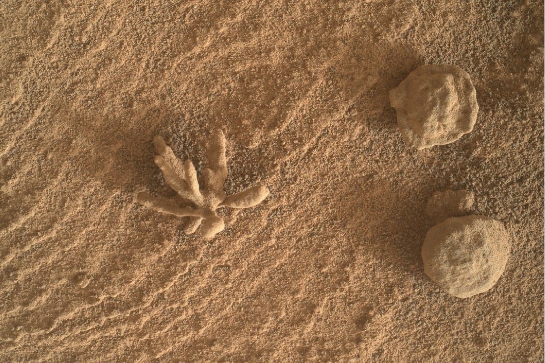 Curiosity rover images tiny 'mineral flower' on Mars