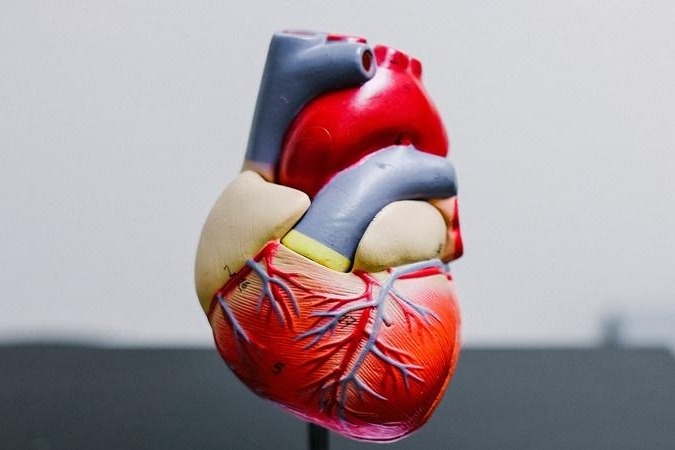 China approves fully bioabsorbable occluder for heart defects