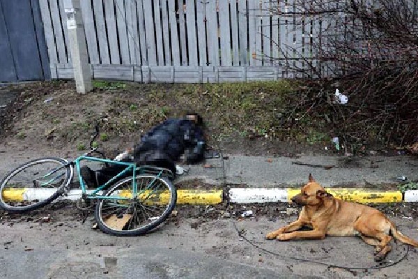 Dog refuses to leave side of owners body in Kyiv