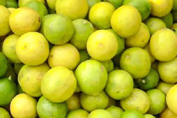nimbu lemon prices soared